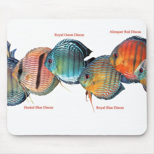 Wilde Discusvisの ス パ ッ ド Muismat (Voorkant)