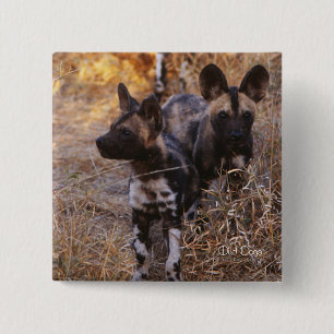 Wilde Dogs-toets Vierkante Button 5,1 Cm