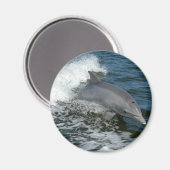 Wilde Dolfijn Ronde Magneet (Voorkant / Achterkant)