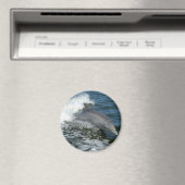 Wilde Dolfijn Ronde Magneet (Insitu (Vaatwasser))