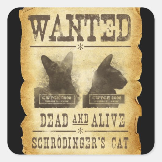 Wilde dood en levend. Schroedinger's kat. Vierkante Sticker (Voorkant)