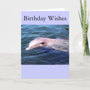 Wilde Dophin Kaart