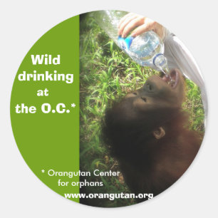 Wilde Drink stickers - versie 1