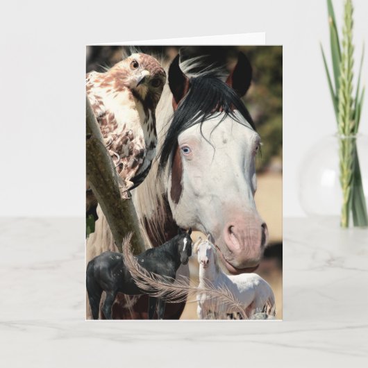 Wilde dromen en veren "Mustang Meg" WILDE KAART (Voorkant)