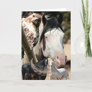 Wilde dromen en veren "Mustang Meg" WILDE KAART