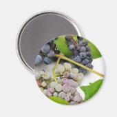 Wilde druiven en bladeren magneet (Voorkant / Achterkant)