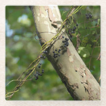 "Wilde druiven" Oorspronkelijke kunst van KAS