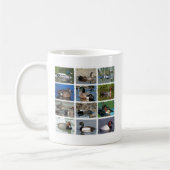 Wilde Ducks uit Noord-Amerika Koffiemok (Links)