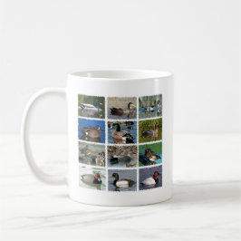 Wilde Ducks uit Noord-Amerika Koffiemok