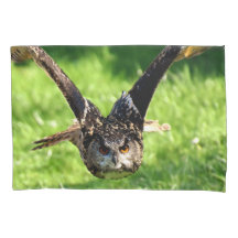 Wilde Eagle Owl in volle vlucht