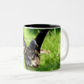 Wilde Eagle Owl in volle vlucht Tweekleurige Koffiemok (Voorkant rechts)