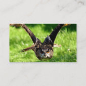 Wilde Eagle Owl in volle vlucht Visitekaartje (Achterkant)
