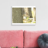 Wilde eekhoorn met een noot in zijn mond canvas afdruk (Insitu (Woonkamer))