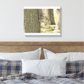 Wilde eekhoorn met een noot in zijn mond canvas afdruk (Insitu (Slaapkamer))