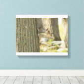 Wilde eekhoorn met een noot in zijn mond canvas afdruk (Insitu (Houten vloer))