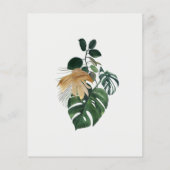 Wilde Eén Jungle Aquarel Olifant Zebra Budget Flyer (Achterkant)