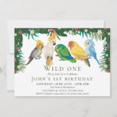 Wilde Eén Tropische Exotische Papegaaien Jongen 1e Kaart (Voorkant)