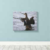 Wilde eend die met haar vleugels slaat canvas afdruk (Insitu (Houten vloer))