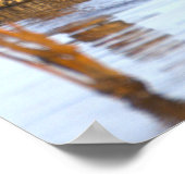 Wilde Eend Foto Poster (Hoek)