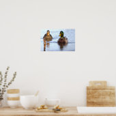 Wilde Eend Foto Poster (Keuken)