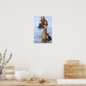 Wilde Eend Foto Poster (Keuken)