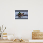 Wilde Eend Foto Poster (Keuken)