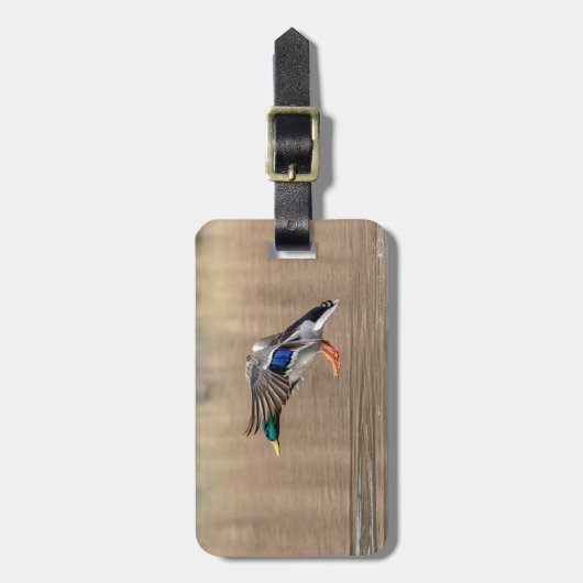 Wilde eend in vlucht bagagelabel (Voorkant verticaal)