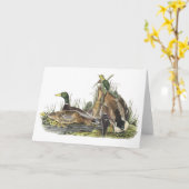 Wilde eend, John Audubon Kaart (Gele Bloem)