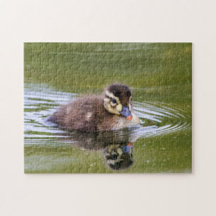 Wilde Eend Kuiken Legpuzzel