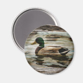 Wilde Eend Magneet (Voorkant / Achterkant)