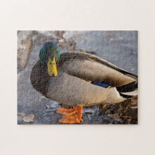 Wilde Eend Op Ijs Legpuzzel