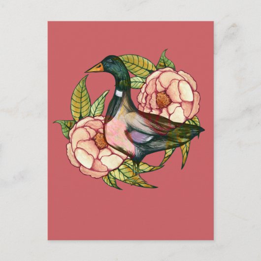 Wilde Eend Pioen Natuurliefhebbers Briefkaart (Voorkant)