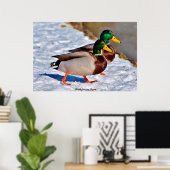 Wilde Eend Poster (Thuiskantoor)