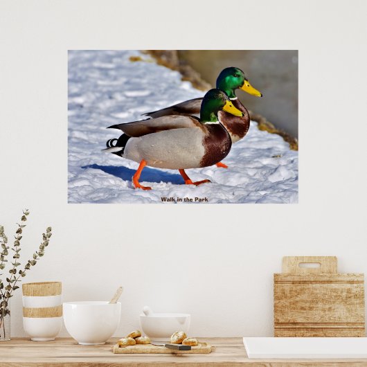 Wilde Eend Poster (Keuken)