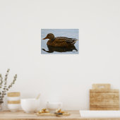 Wilde Eend Poster (Keuken)