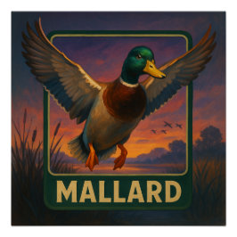 Wilde Eend Poster