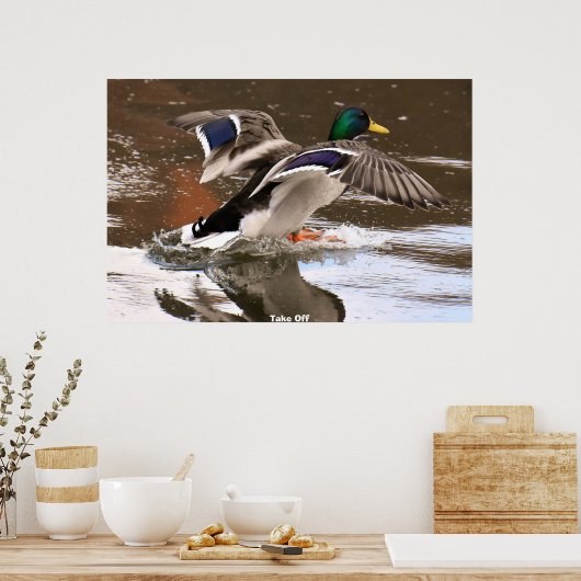 Wilde Eend Poster (Keuken)
