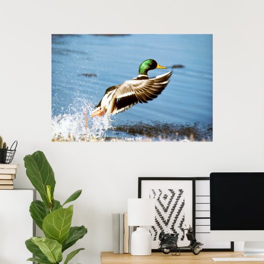 Wilde Eend Poster (Thuiskantoor)