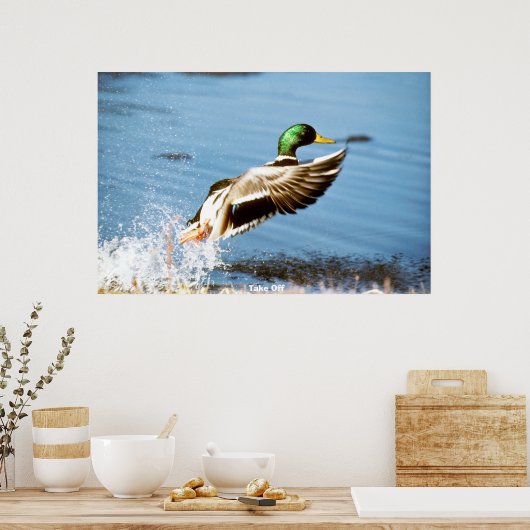 Wilde Eend Poster (Keuken)