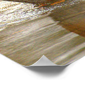 Wilde Eend Reflectie Foto Poster (Hoek)