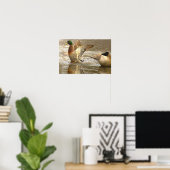 Wilde Eend Reflectie Foto Poster (Thuiskantoor)