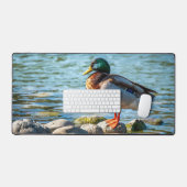 Wilde Eend Staand op Oeverrotsen bij het Meer Bureaumat (Keyboard & Muis)