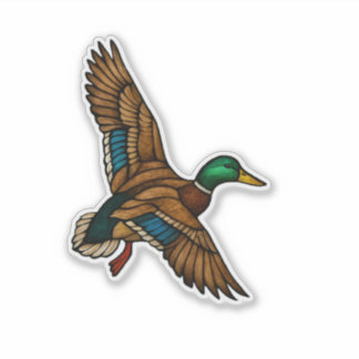 Wilde Eend Sticker