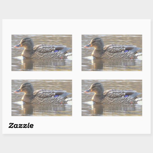 Wilde Eend Stickers (Vel)