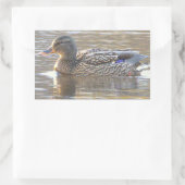 Wilde Eend Stickers (Tas)