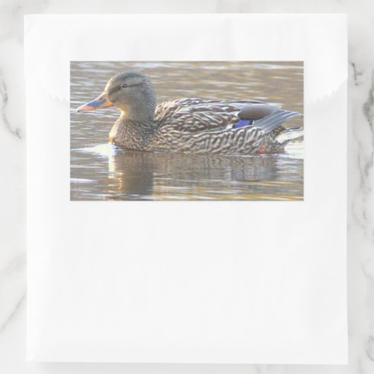 Wilde Eend Stickers (Tas)