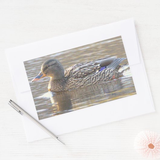 Wilde Eend Stickers (Envelop)