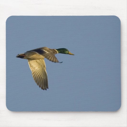 wilde eend vliegend in open lucht muismat (Voorkant)
