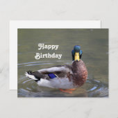 Wilde eend Woerd Water Foto Verjaardag Briefkaart (Voorkant / Achterkant)