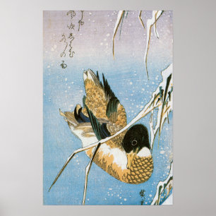 Wilde eend zwemt tussen sneeuw beladen riet door H Poster